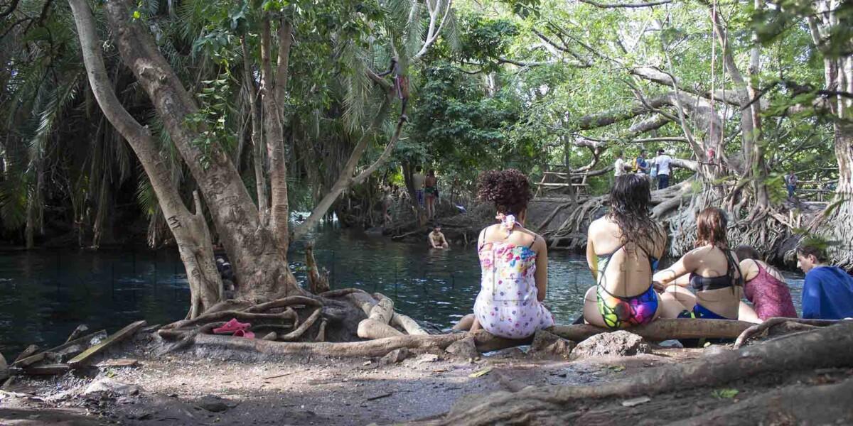 kikuletwa day trip tour