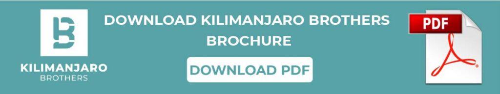 Kilimanjaro Brothers