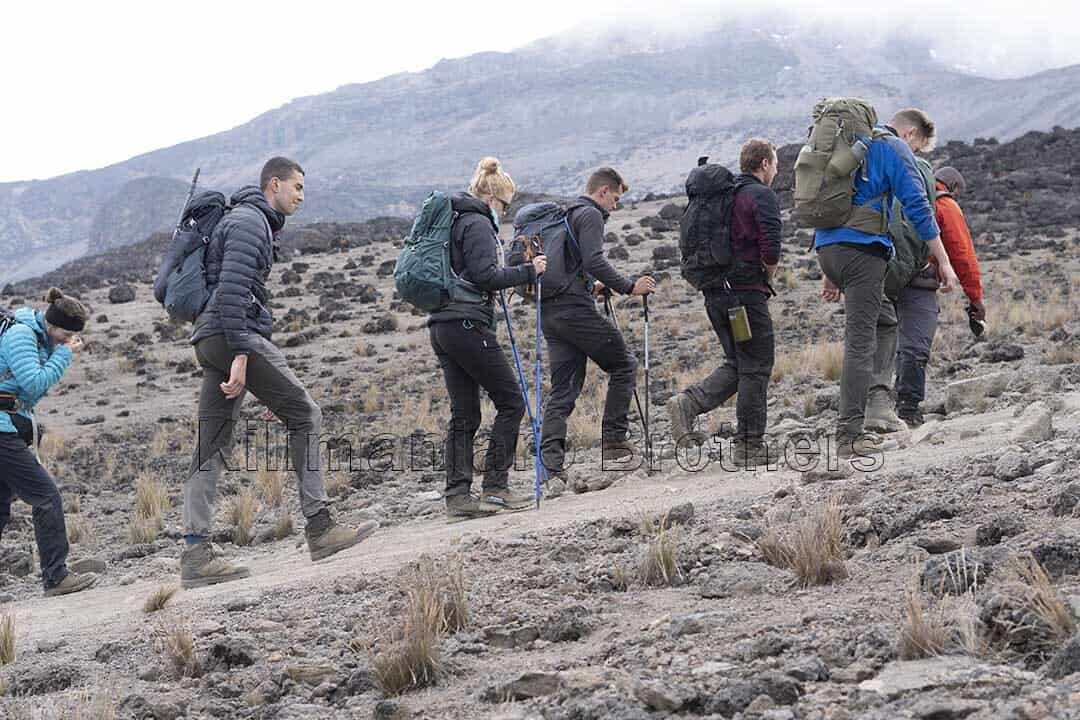 Trekkers on Mount Kilimanjaro