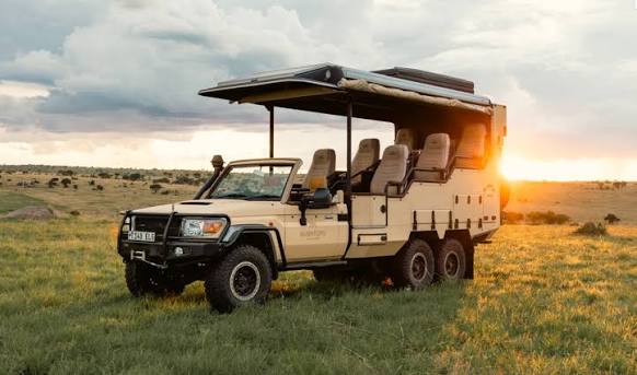 Tanzania safari wildlife